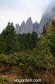 wbgarden alps 52